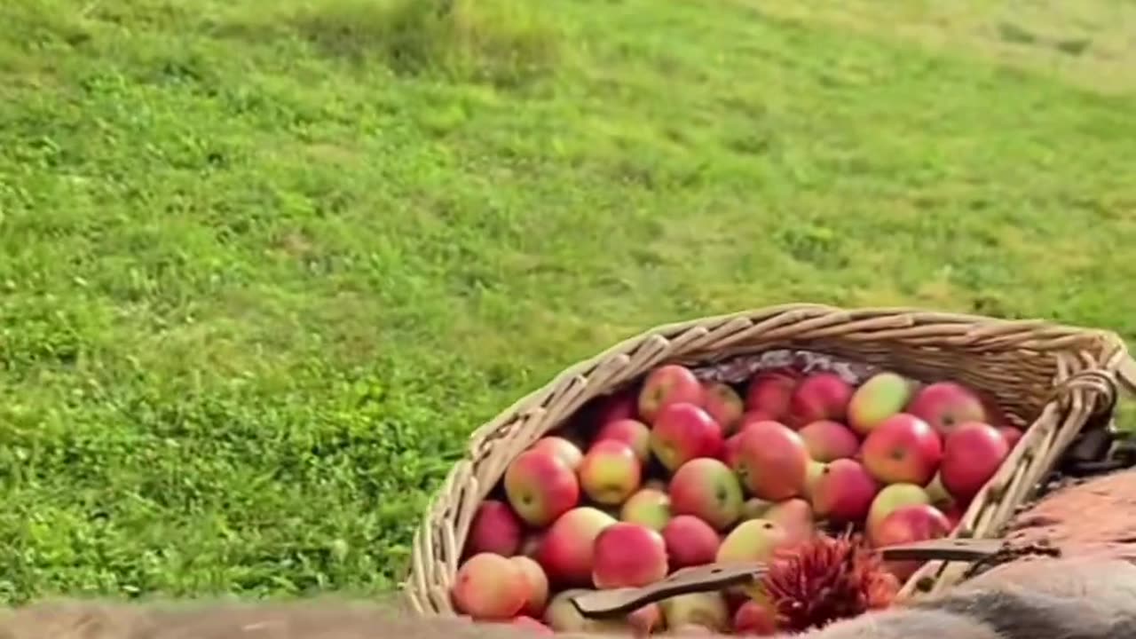 Village Girl enjoys fresh Apple Juice and Honey