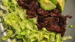 Autoimmune-Animal-Based Elimination Diet?