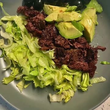 Autoimmune-Animal-Based Elimination Diet?