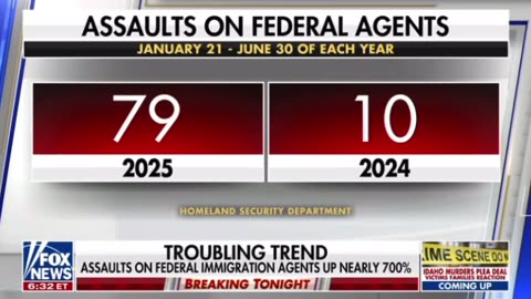 Officials say politicians put target on ICE officers