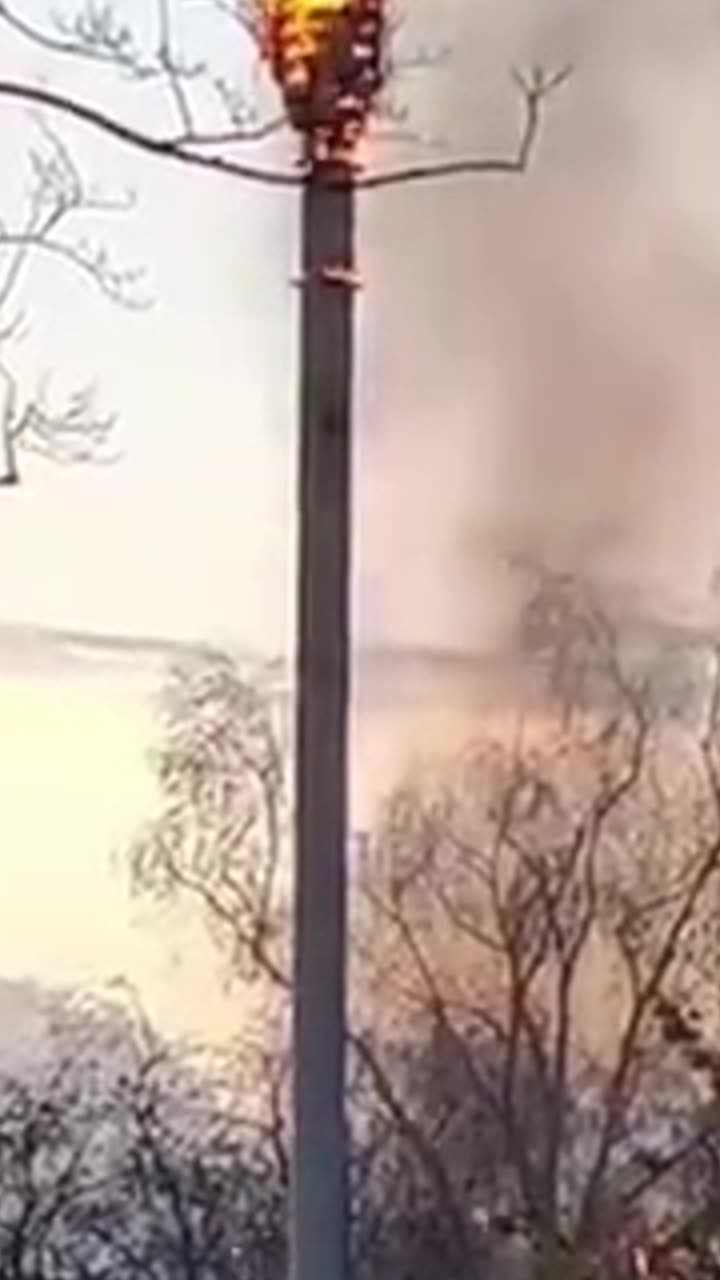 CELL TOWERS OF MASS DESTRUCTION