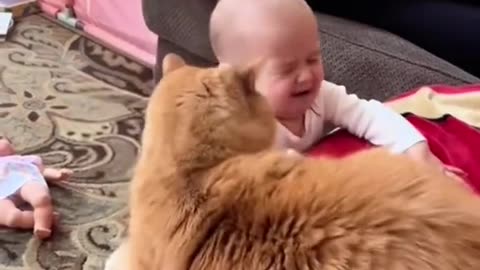 When animals "jumpscare" kids ... #animals #jumpscare #kids #fyp