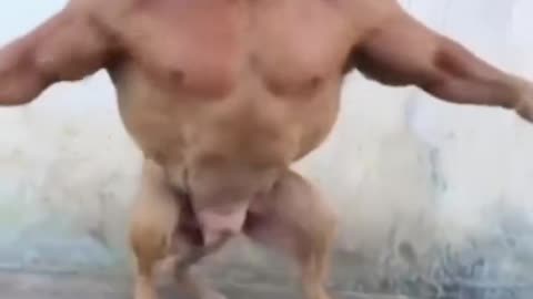 Danger dog