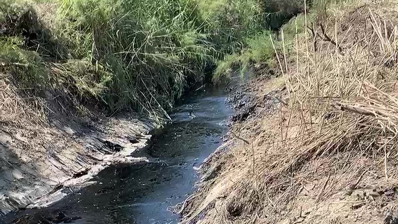 Naftë në zemër të Vjosës: Skandal mjedisor në Parkun Kombëtar