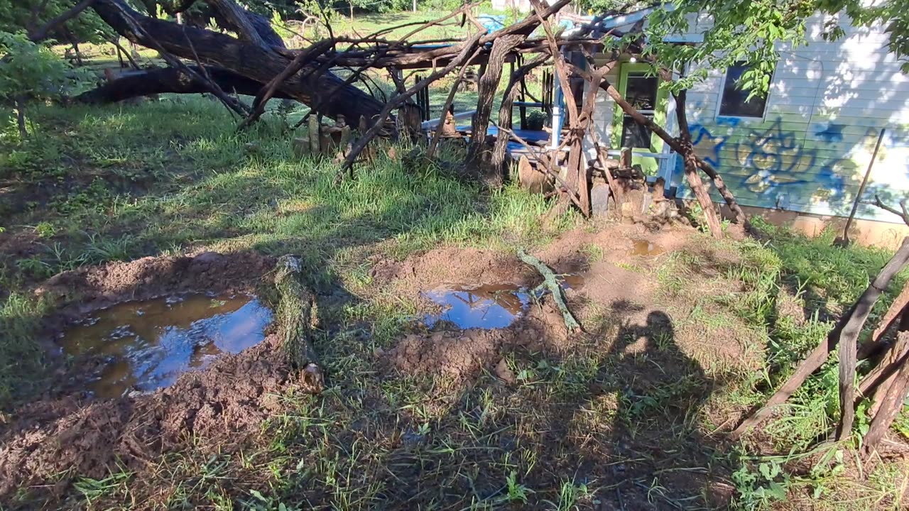 RAMMM RAMMM RAMMM - NU PONDS - SOME HEART SHAPED - RAMMM RAMMMMM RAAMMMMMMMMM...