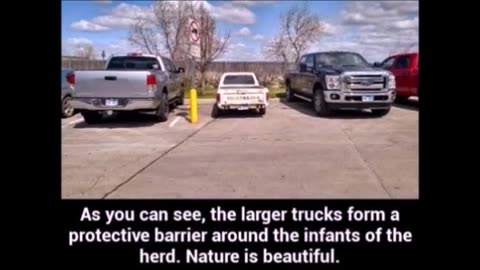 51825 Funny Laugh Out Loud Hilarious Memes Jokes Cartoons