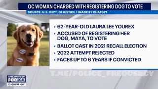 62-year old California woman BUSTED registering her pet to vote.