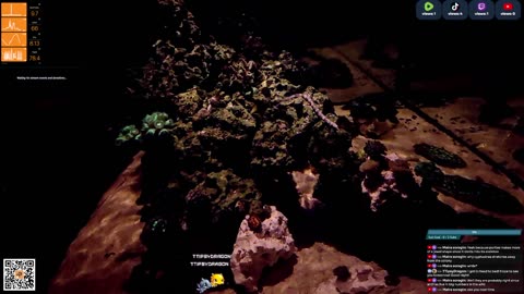 24/7 Real Live Reef Stream