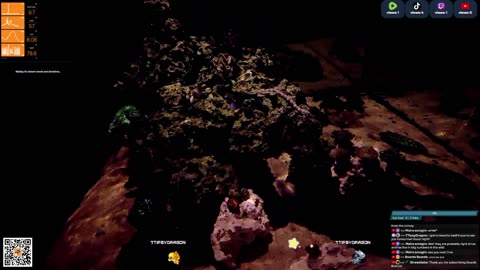 24/7 Real Live Reef Stream