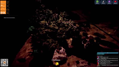 24/7 Real Live Reef Stream