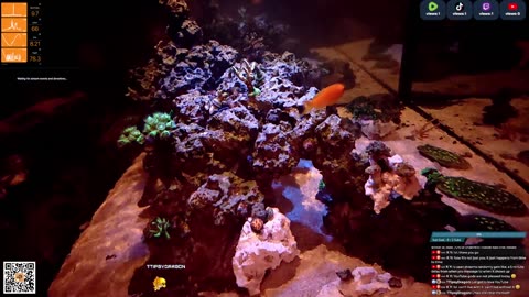 24/7 Real Live Reef Stream
