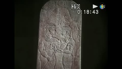 What they Never Told You iN History Class