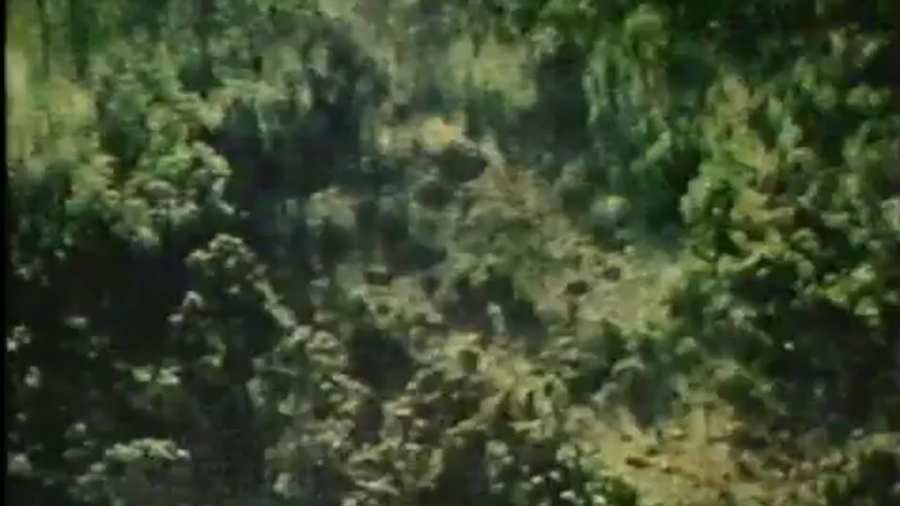 Airpower at Khe Sanh 1968