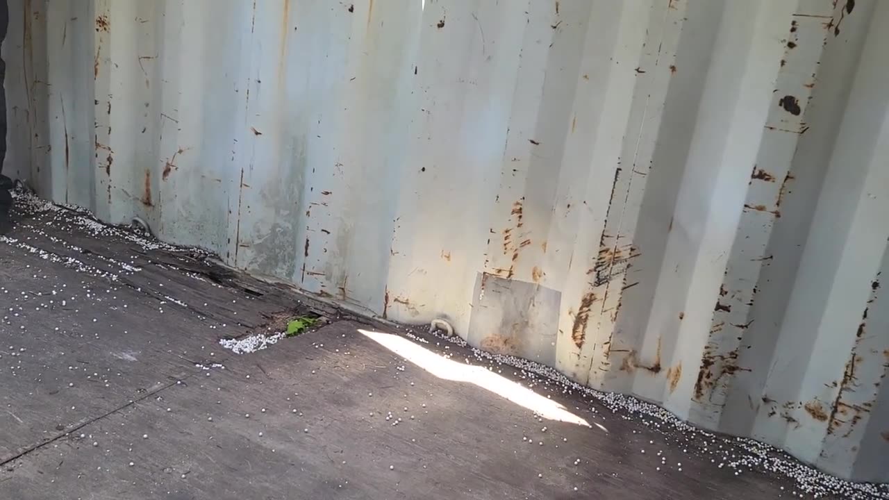 Ghillie & Grenades