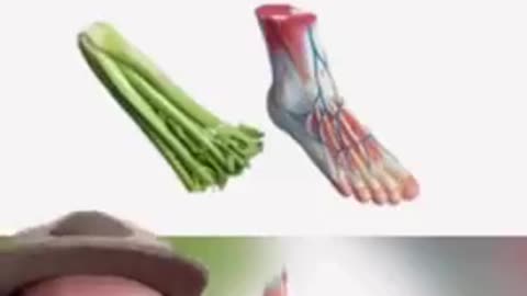 Evolved or Created？