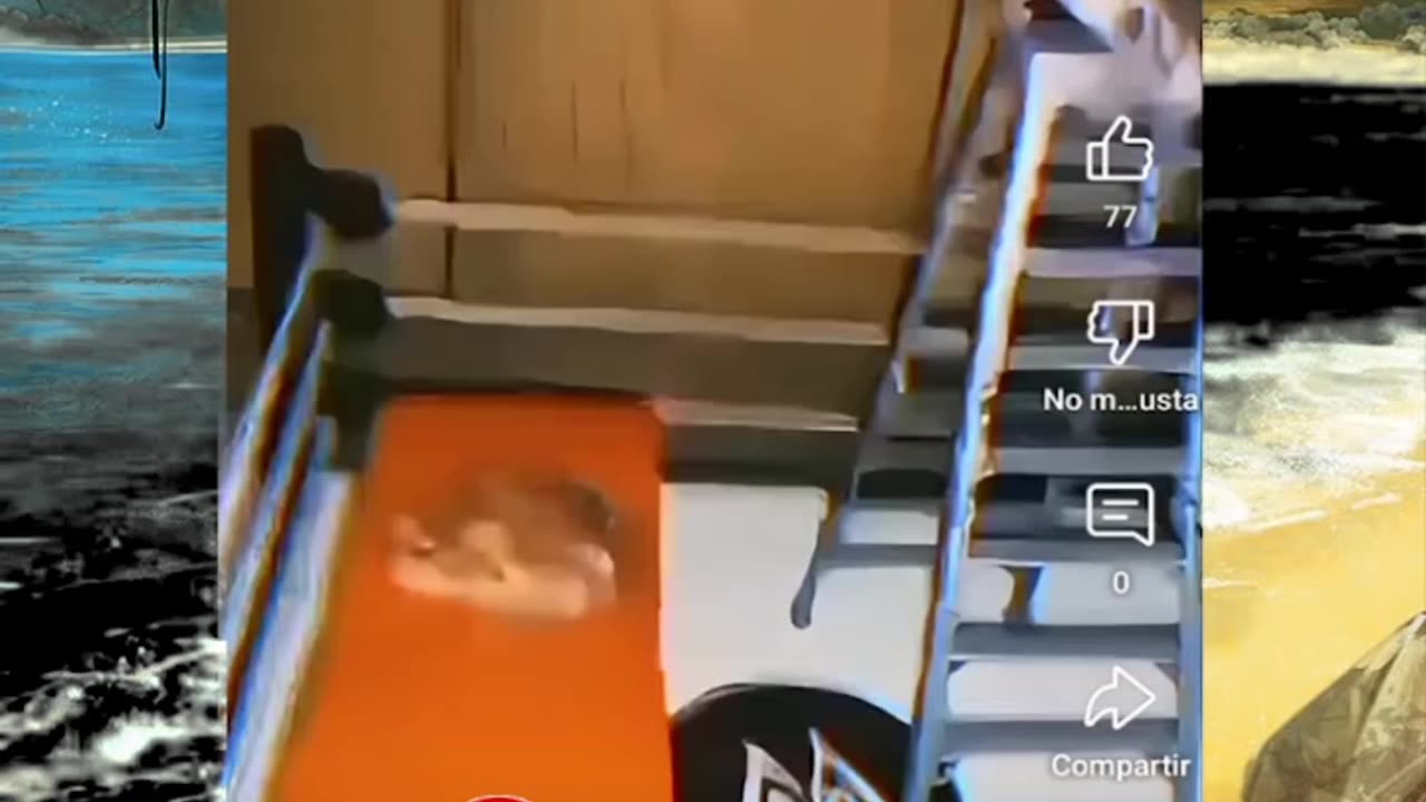 Just shorts videos - Follow 😜😋!!!!!!!