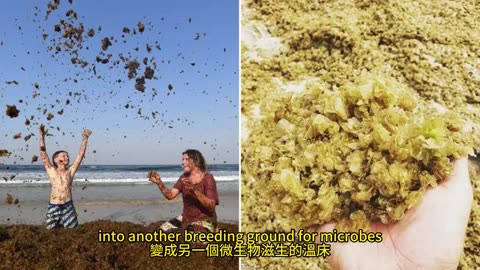 洗碗習慣 家庭健康