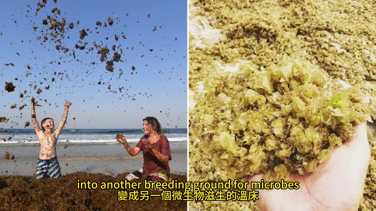 洗碗習慣 家庭健康