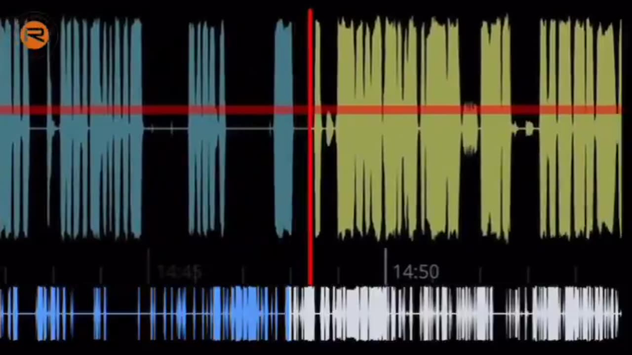 First reports Dispatch audio from Idaho wildfire active shooter incident- Idaho shooting