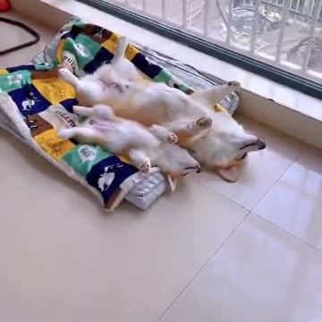 Sleeping in weekends