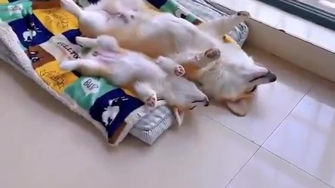 Sleeping in weekends