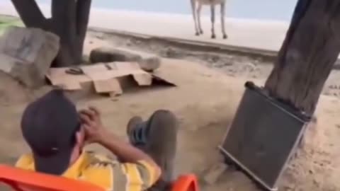 😲😐🤣