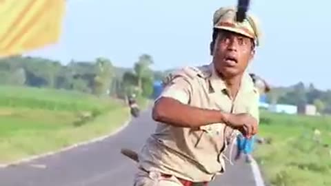 Funny videos