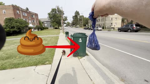 His Poop
