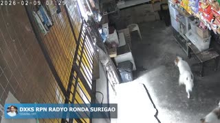 Anison FM Radio Animati