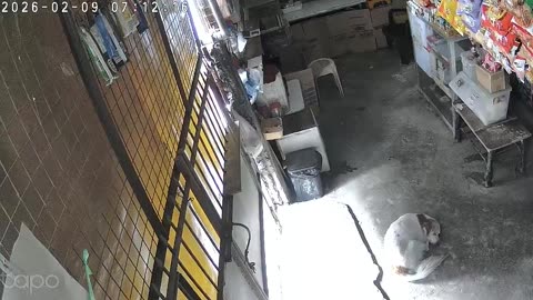 Anison FM Radio Animati