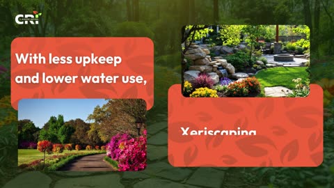 Expert Xeriscape Services in Highlands Ranch, CO