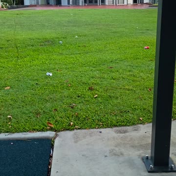 26.2.2025 Rubbishtown