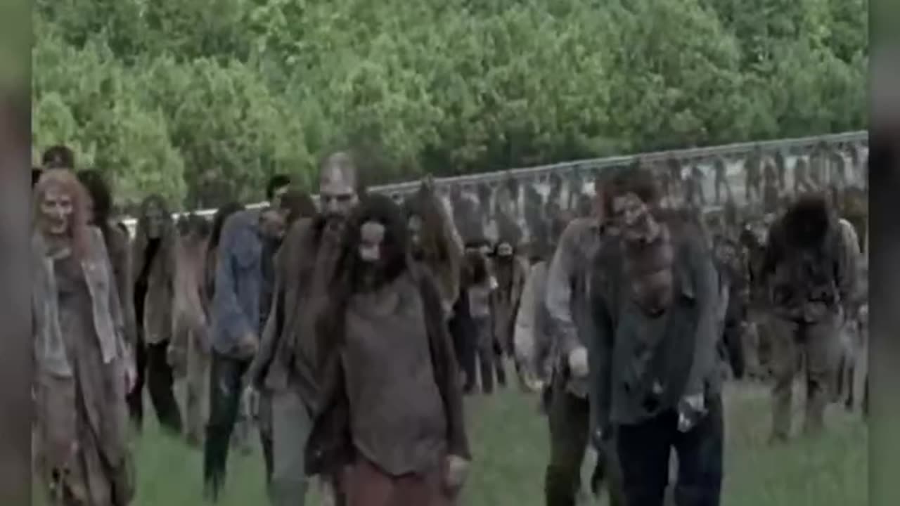 POV: When applying for study abroad feels like a Walking Dead Movie
