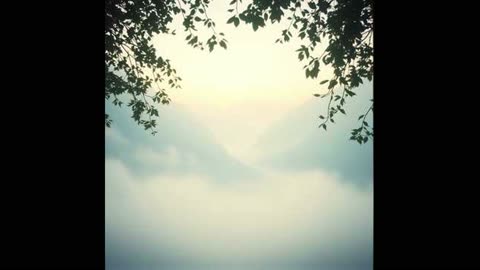 Finding Peace