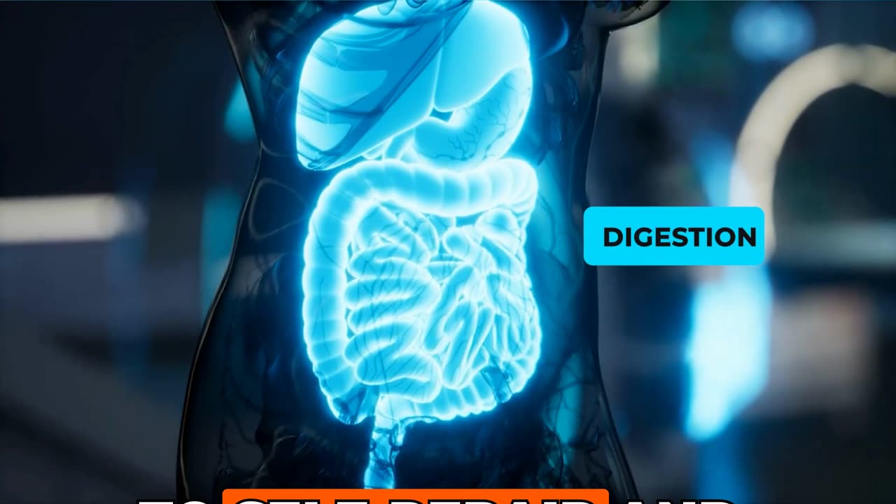 🌿 Your Body’s Hidden Superpower: Autophagy 🌿