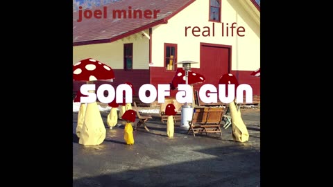 son of a gun