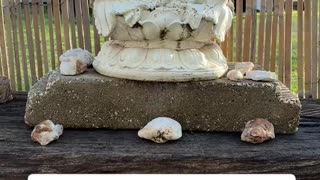 Buddha Happiness