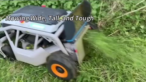 Reemo –FATHER’S DAY SALE - GIVE DAD THE GIFT OF EFFORTLESS LAWN CARE