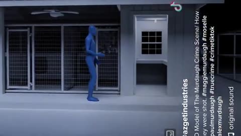 Crime Reconstruction Murdaugh