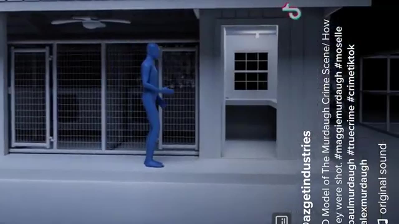 Crime Reconstruction Murdaugh