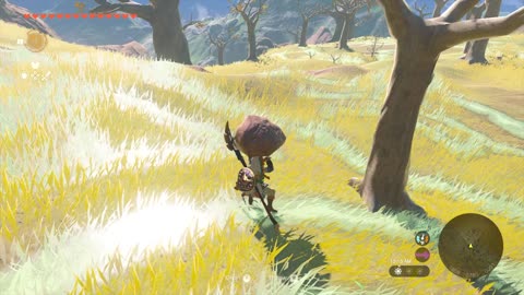 korok seeds