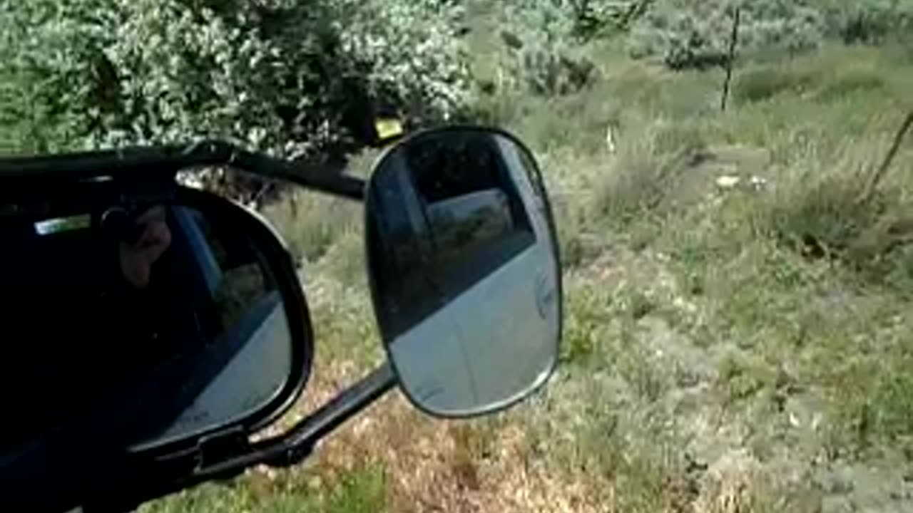 Hearing a bird call and comparing it to dubstep, might sample it for a dubstep song