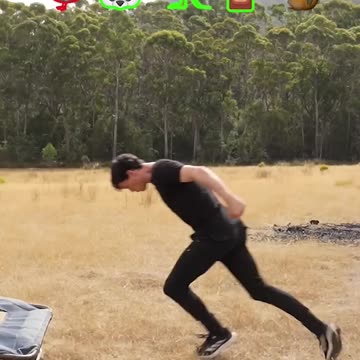 If animals did parkour😂part 4