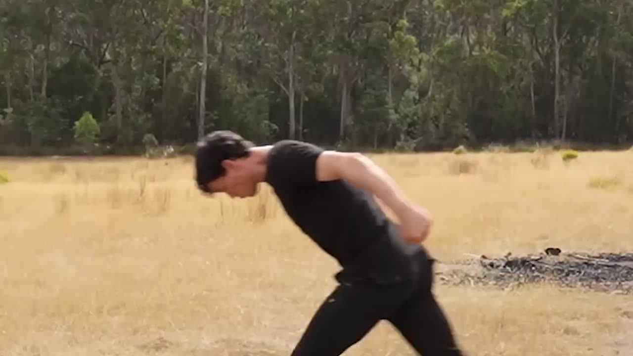 If animals did parkour😂part 4