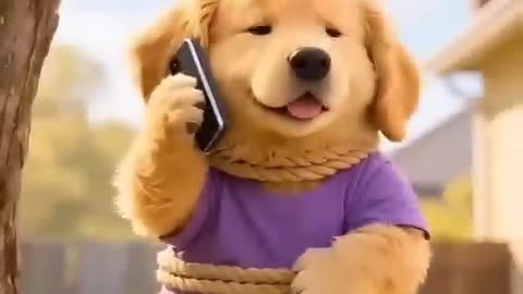 Gangster dog