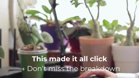 This Made It All Click