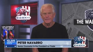 Peter Navarro: "They're Coming For You If They Get Back Power"