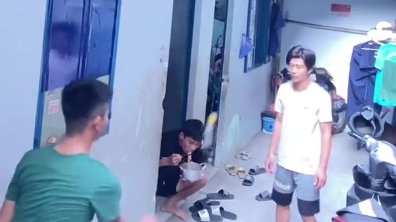Fun video | Part 02