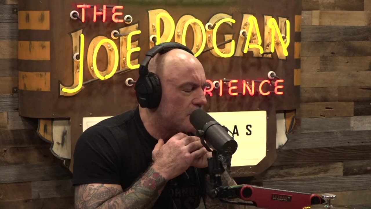 Joe Rogan Experience - Jeremie & Edouard Harris 4-25-25