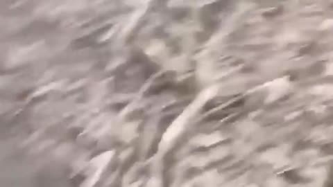 "So Many Lost, Yet We Still Don't Advance"